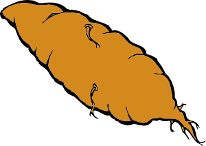 kumara