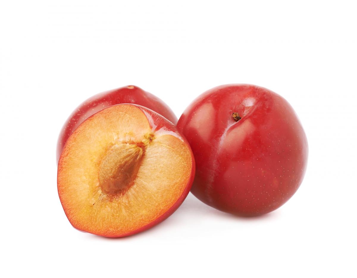 plum_xxl_56111822.jpg