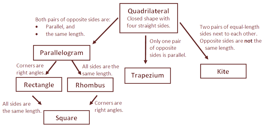 quadrilateral-classification-key-tp.png