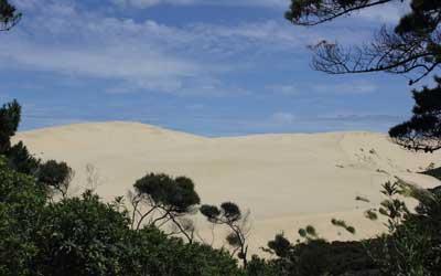 sand-dunes.jpg