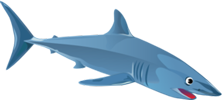 shark