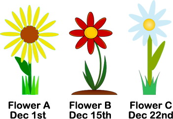 three-flowers.png