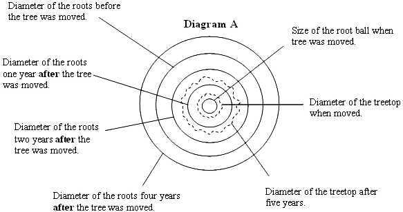 tree-cross-section-diagram-A.png