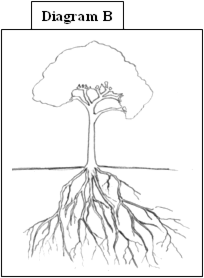 tree-diagram-B.png