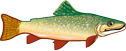 trout