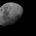 medium_moon-photokete.co_.nz-cropped.jpg