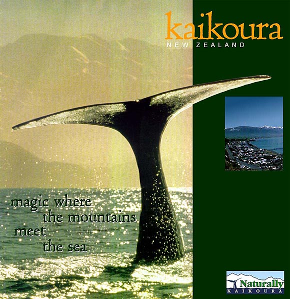 Image of a Kaikoura advertisement