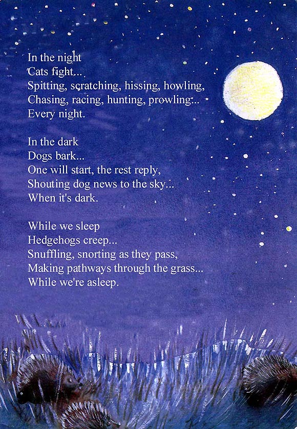 Night noises poem