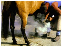 Illustration: A blacksmith making shoes for Cloud, the horse