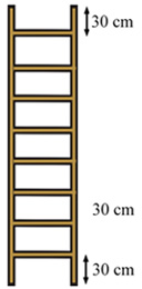 ladder with 30 centimetre rungs