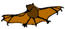 a bat