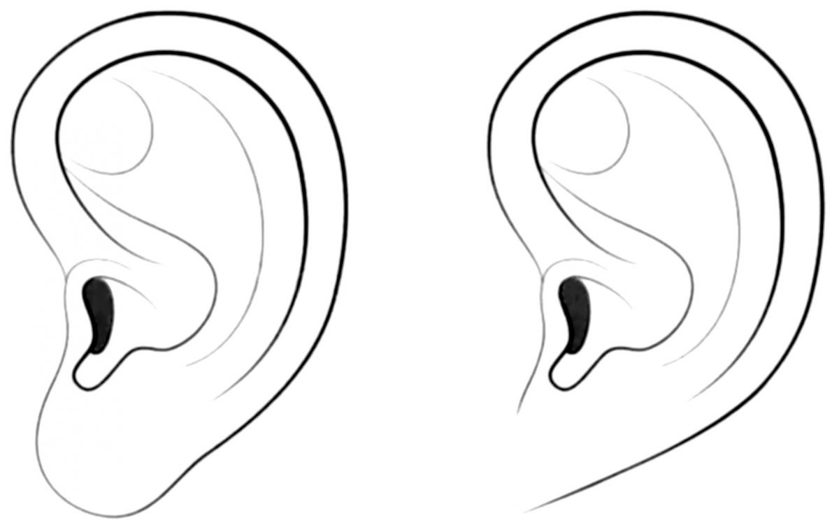 earlobes b&w.jpg