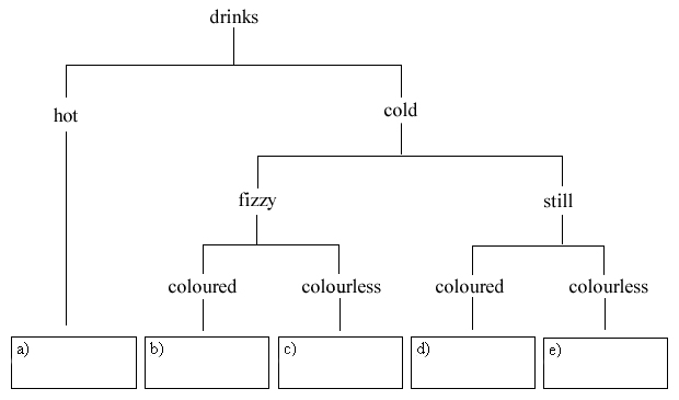 information: classification key to identify types of drinks 