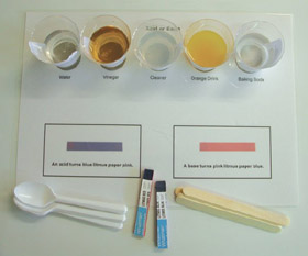 equipment for testing: five solutions: orange juice, cleaner, vinegar, water, baking soda, litmus paper, plastic spoons and ice block sticks.