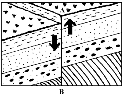 diagram of rock layers