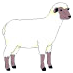 sheep.png