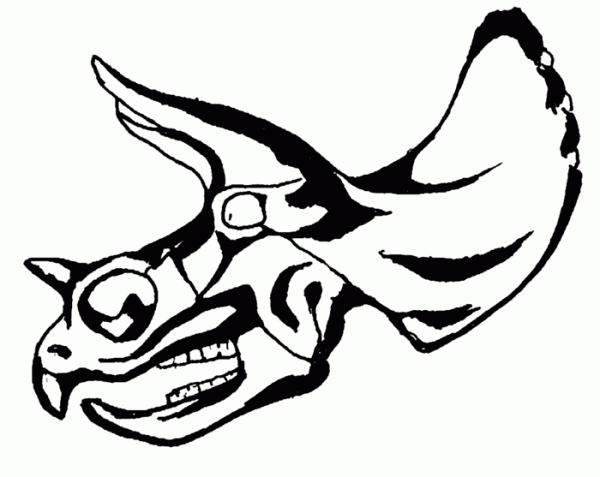 dinosaur skull